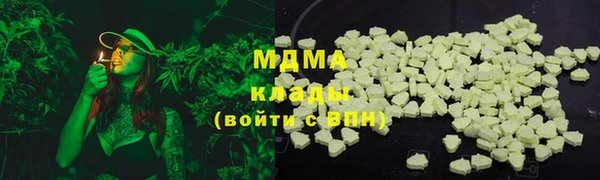 индика Богданович